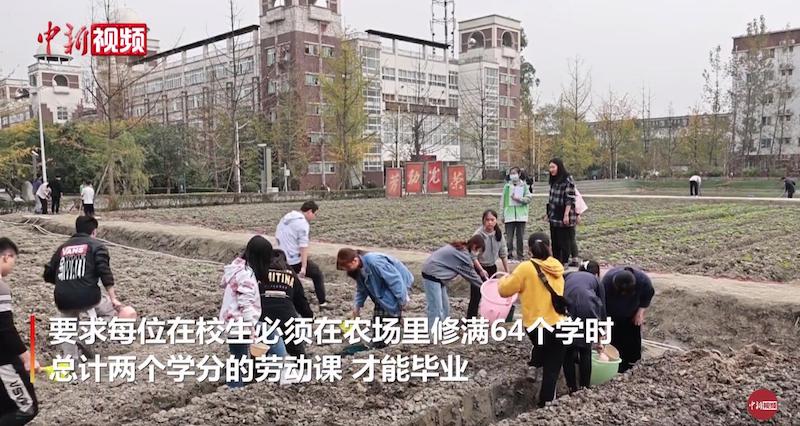 QQ截图20201105103927.jpg